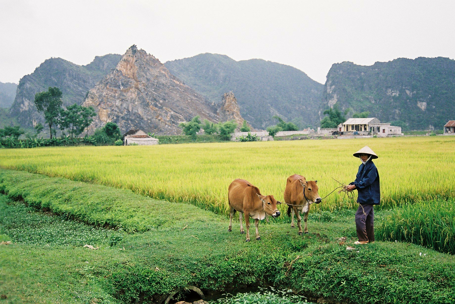 Dr Tran Ha Uyen Thi: Towards a sustainable digital future for Vietnam ...